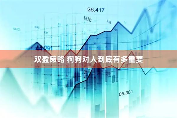 双盈策略 狗狗对人到底有多重要